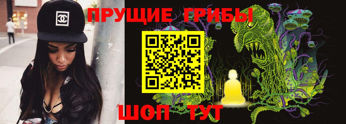 Галлюциногенные грибы Psilocybine cubensis Дальнегорск
