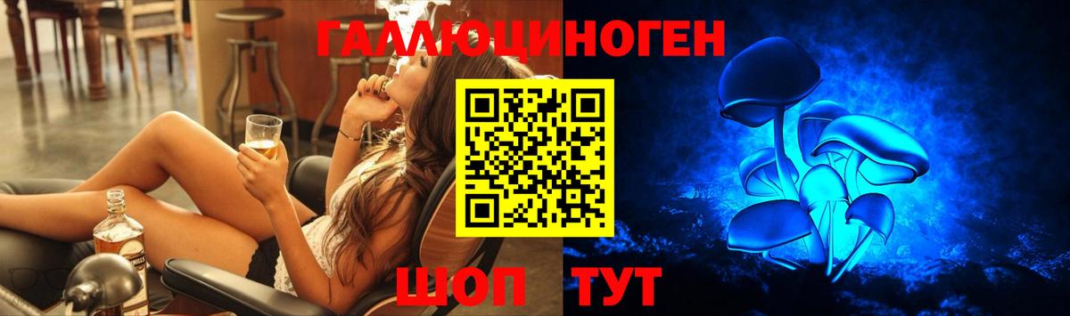 Дальнегорск  Галлюциногенные грибы Magic Shrooms  Вход с VPN 